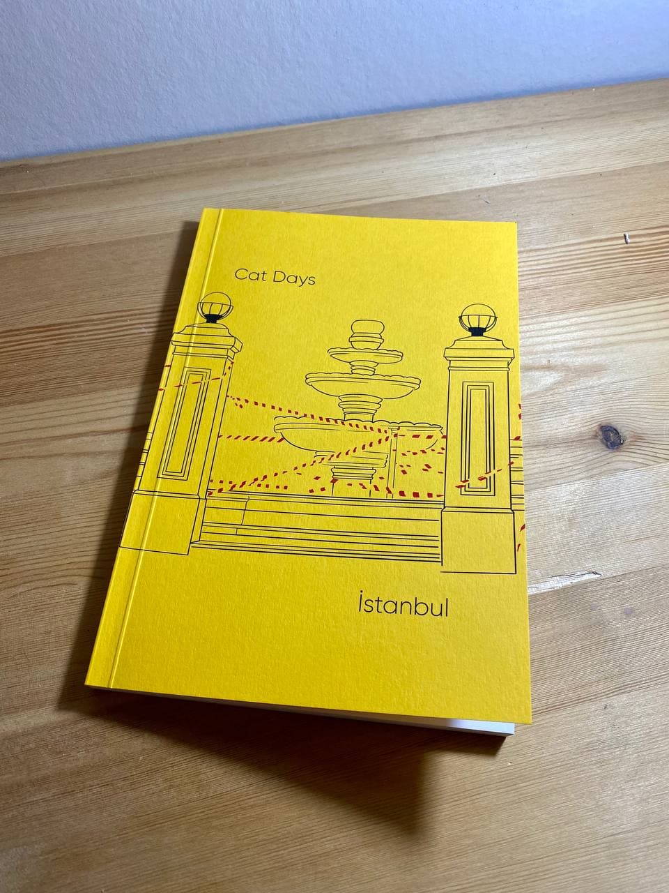 Cat Days, Istanbul book preview