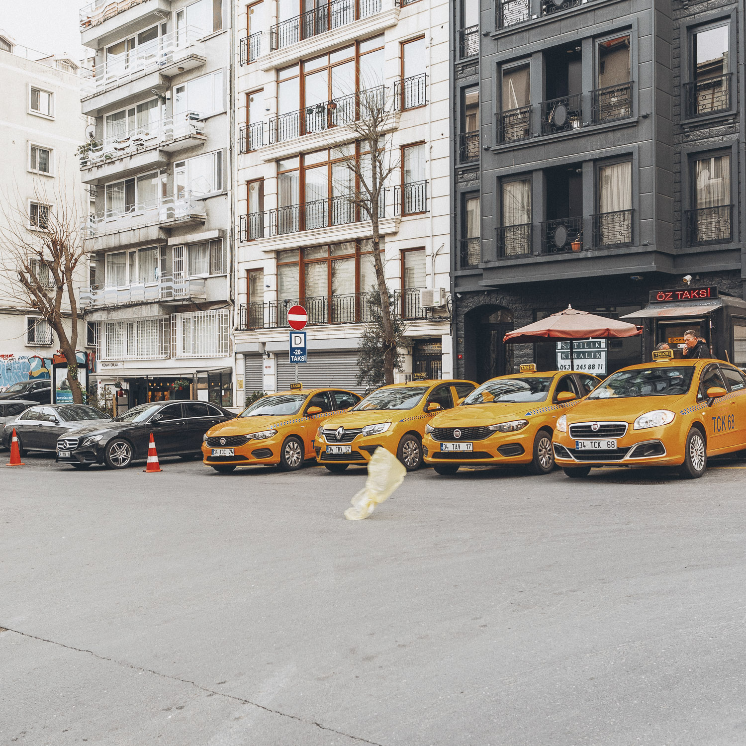 Cat Days, Istanbul
