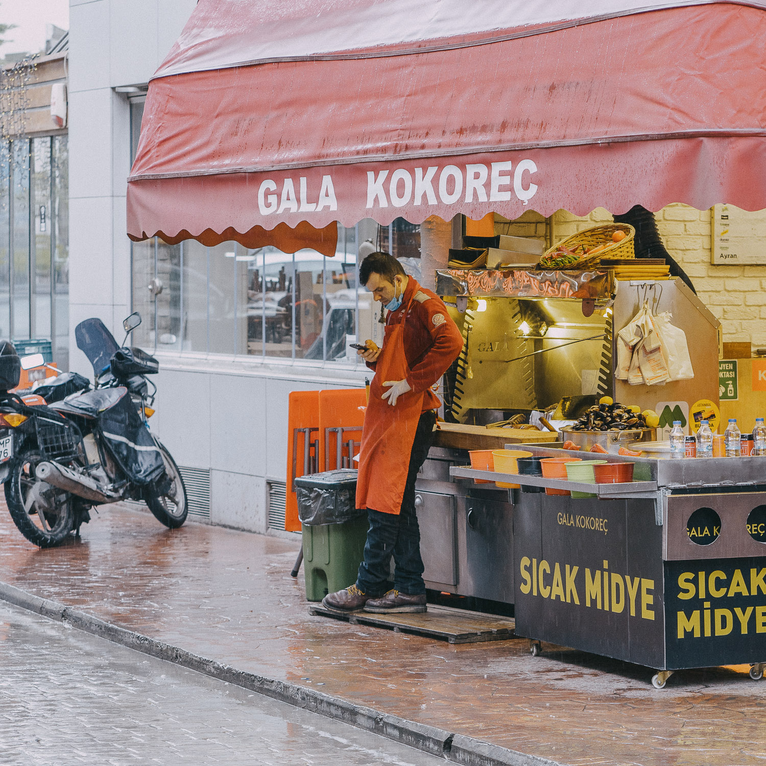 Cat Days, Istanbul