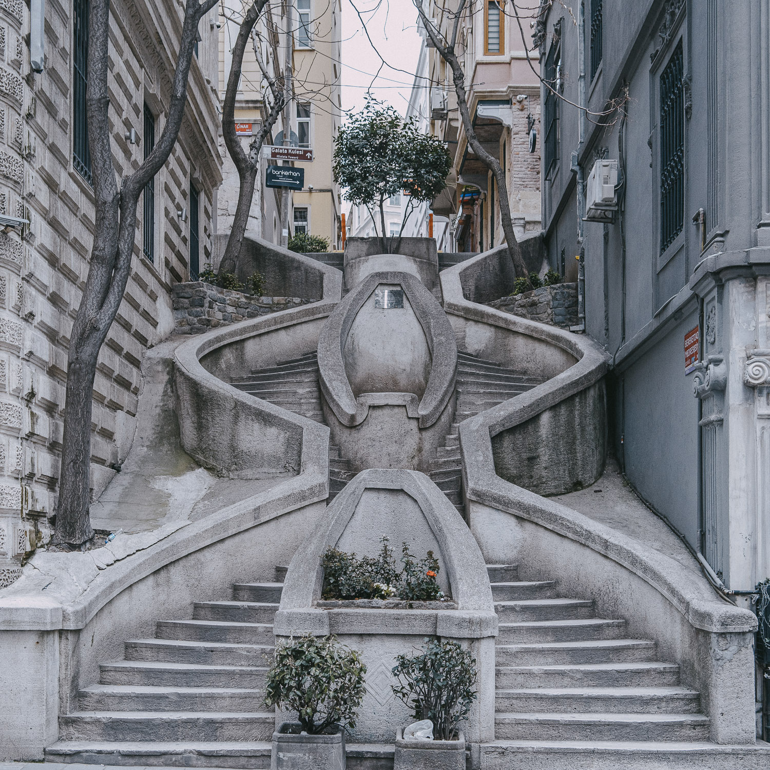 Cat Days, Istanbul