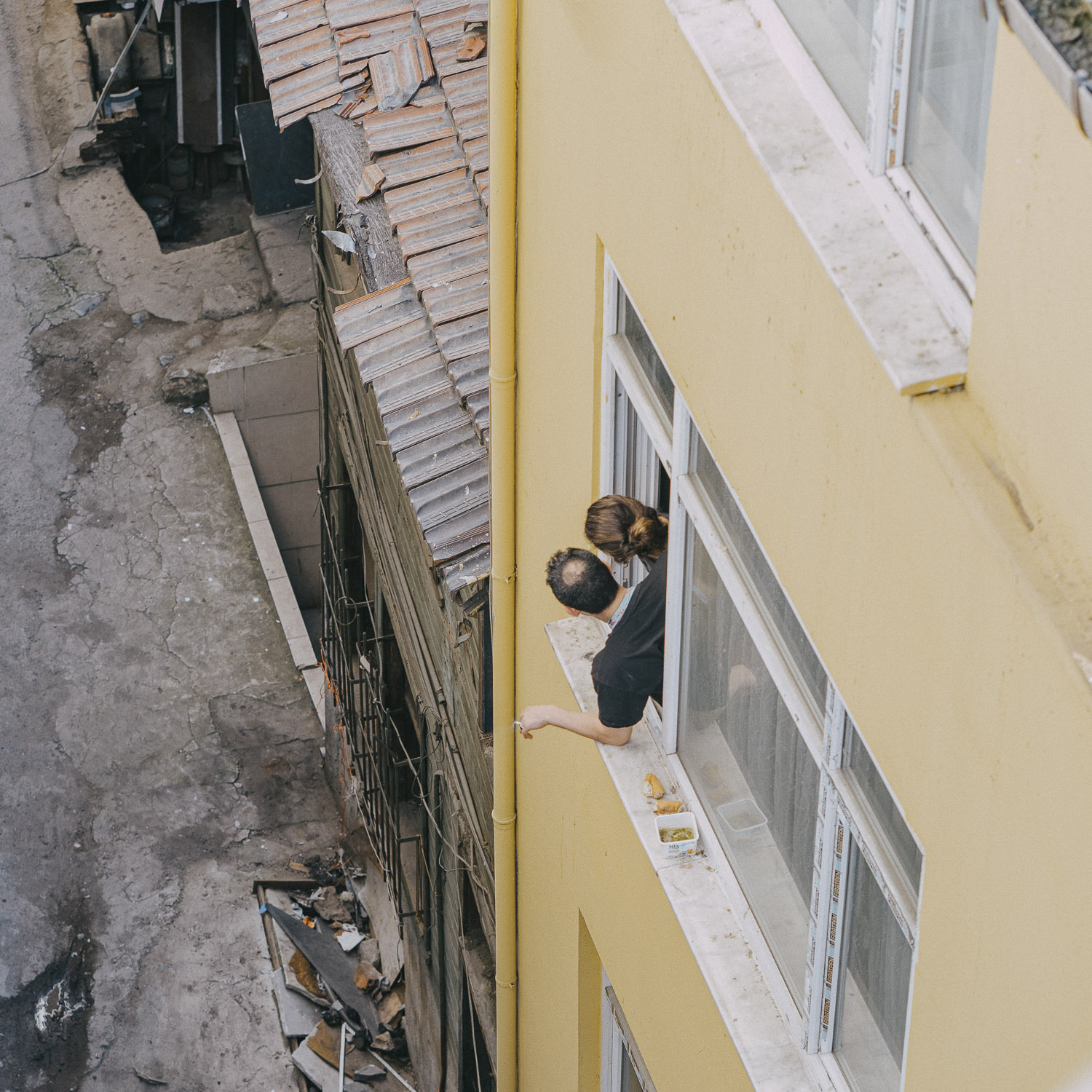 Cat Days, Istanbul