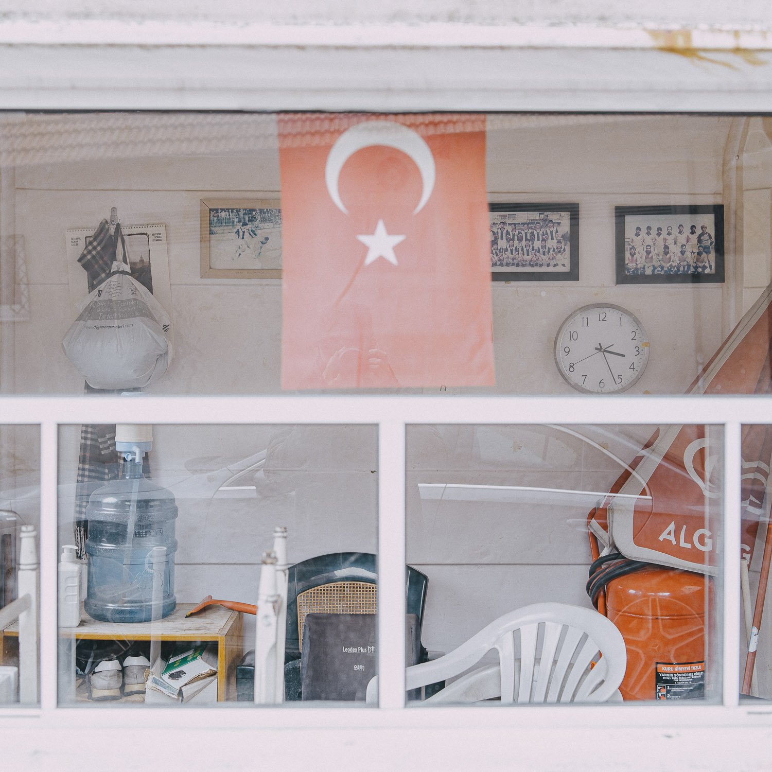 Cat Days, Istanbul