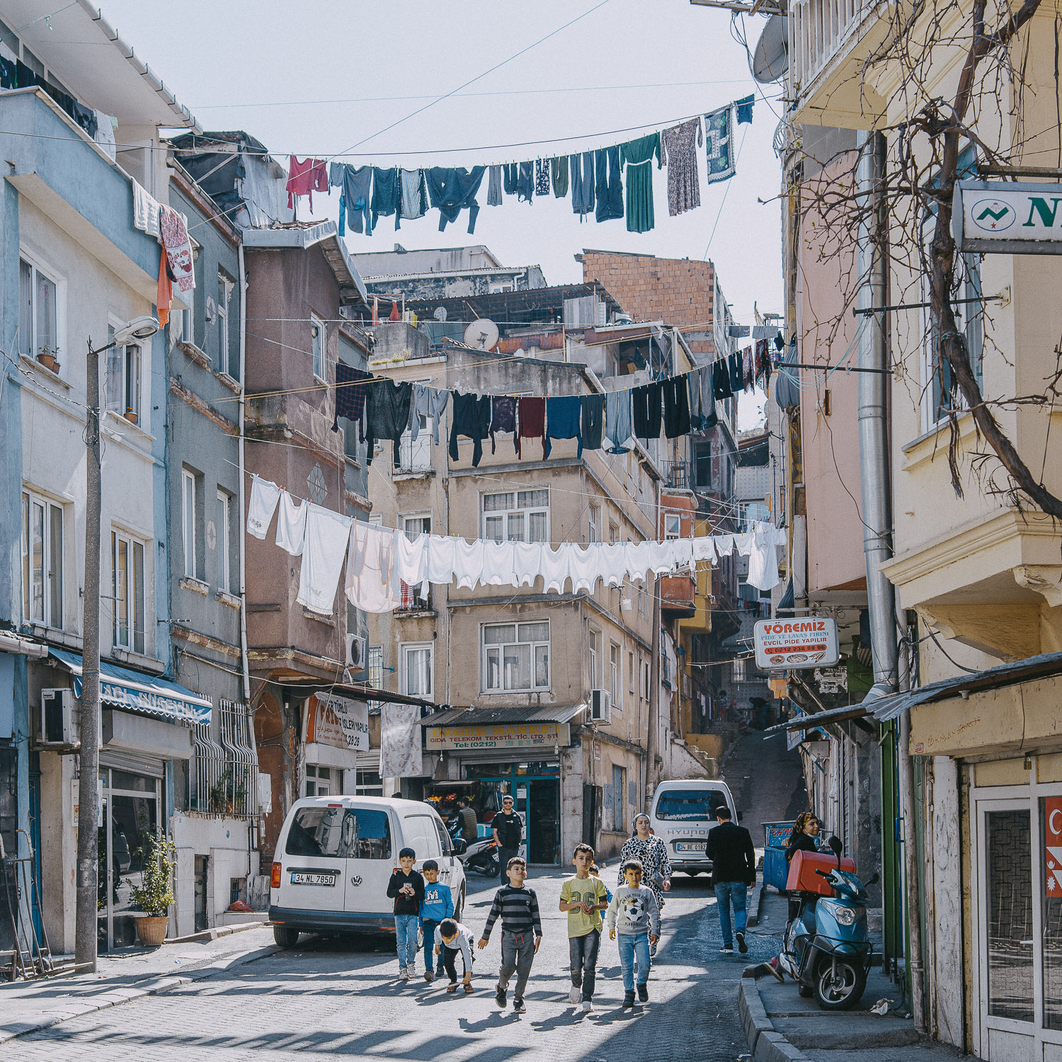 Cat Days, Istanbul