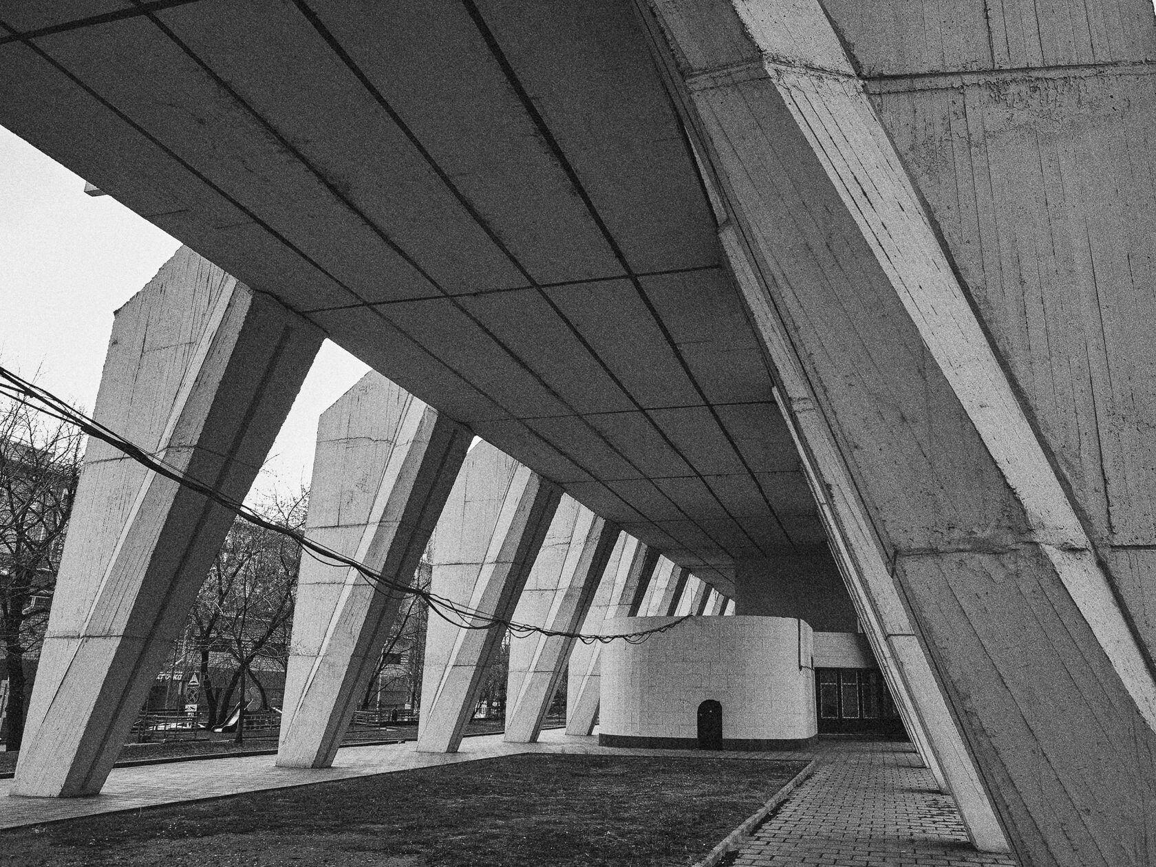 House on legs, image 2