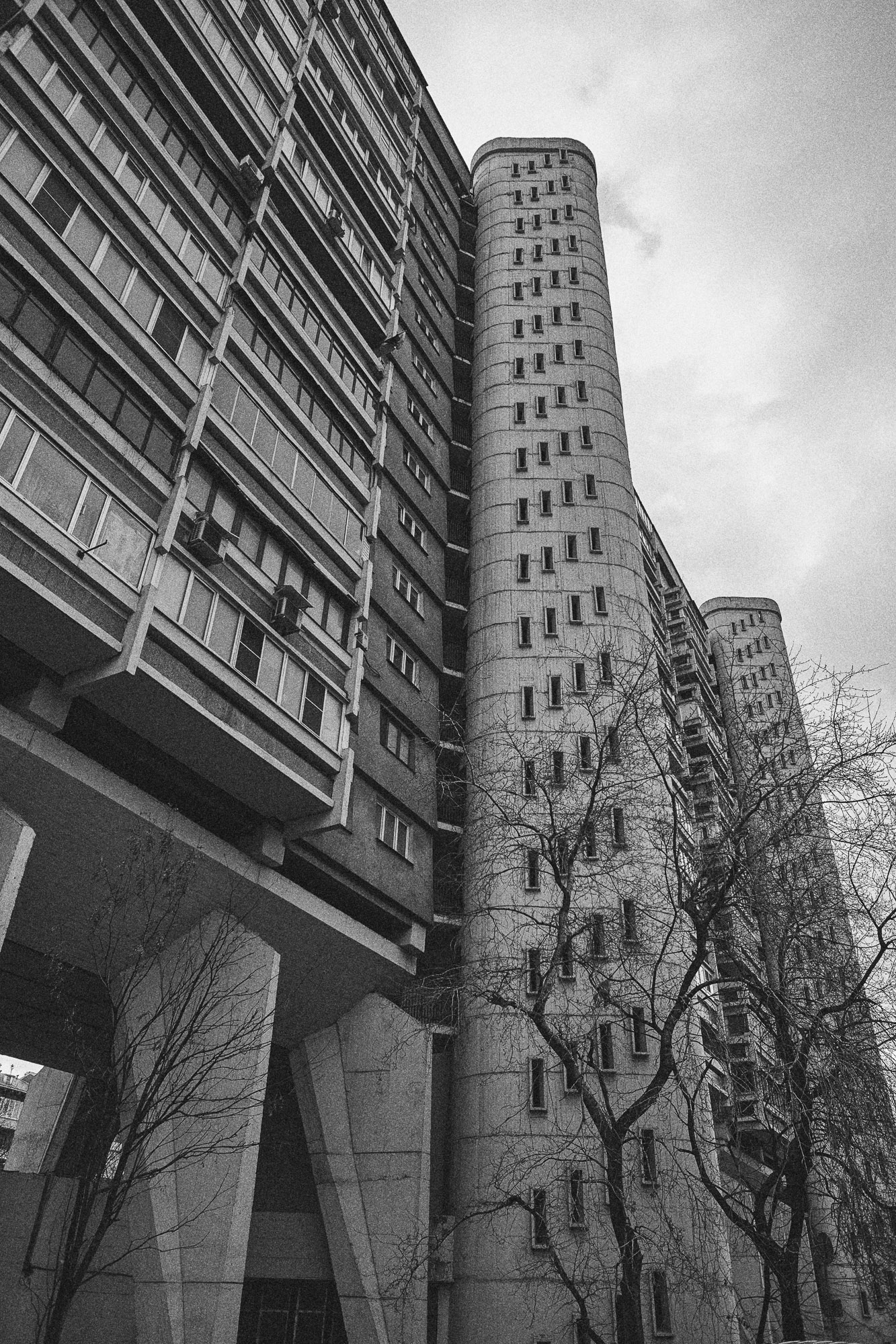 House on legs, image 3