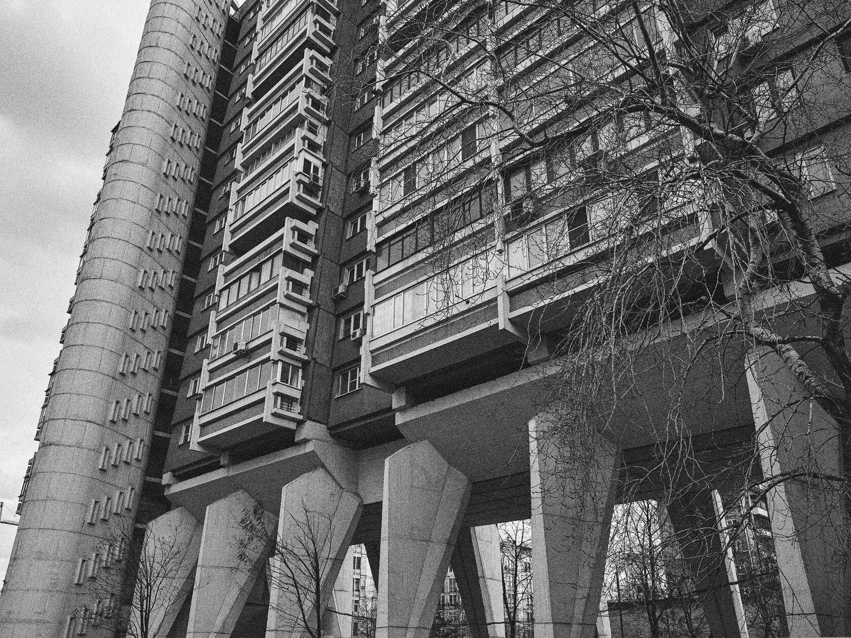 House on legs, image 4