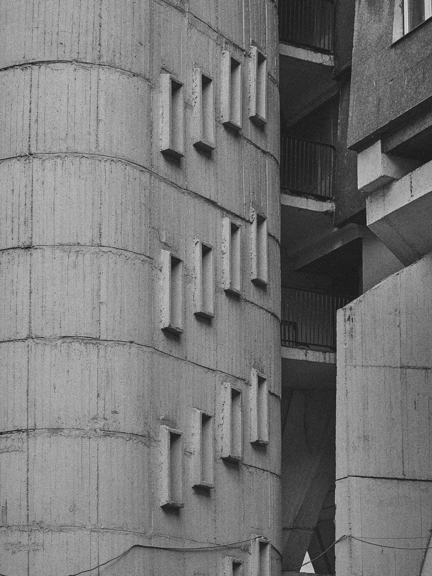 House on legs, image 7