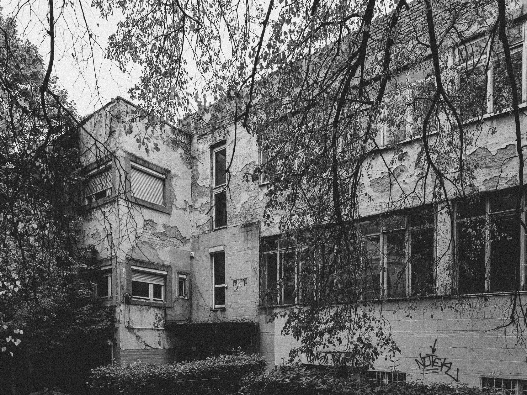 House of Officers of the Baltic Fleet / East Prussian Crafts School for Girls (Ostpreußische Mädchen-Gewerbeschule), image 4