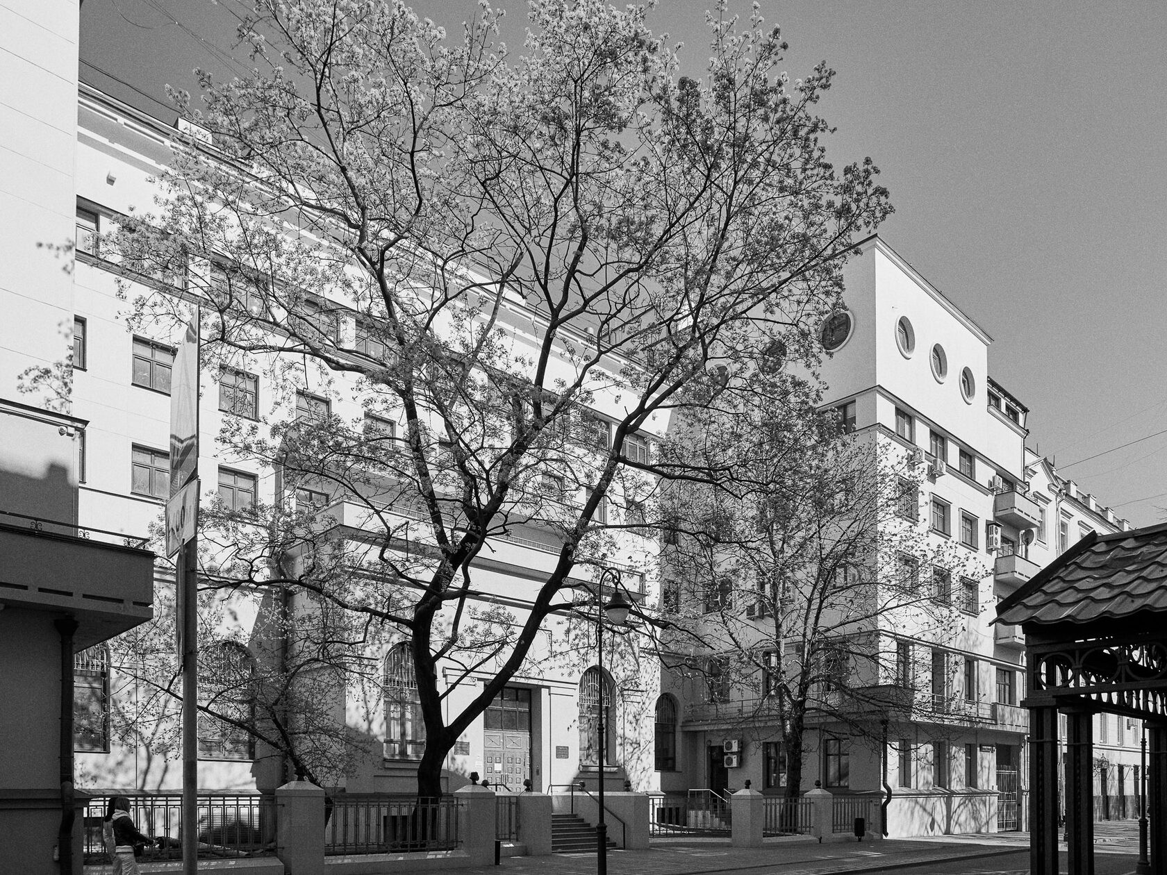 Assay Administration, image 1