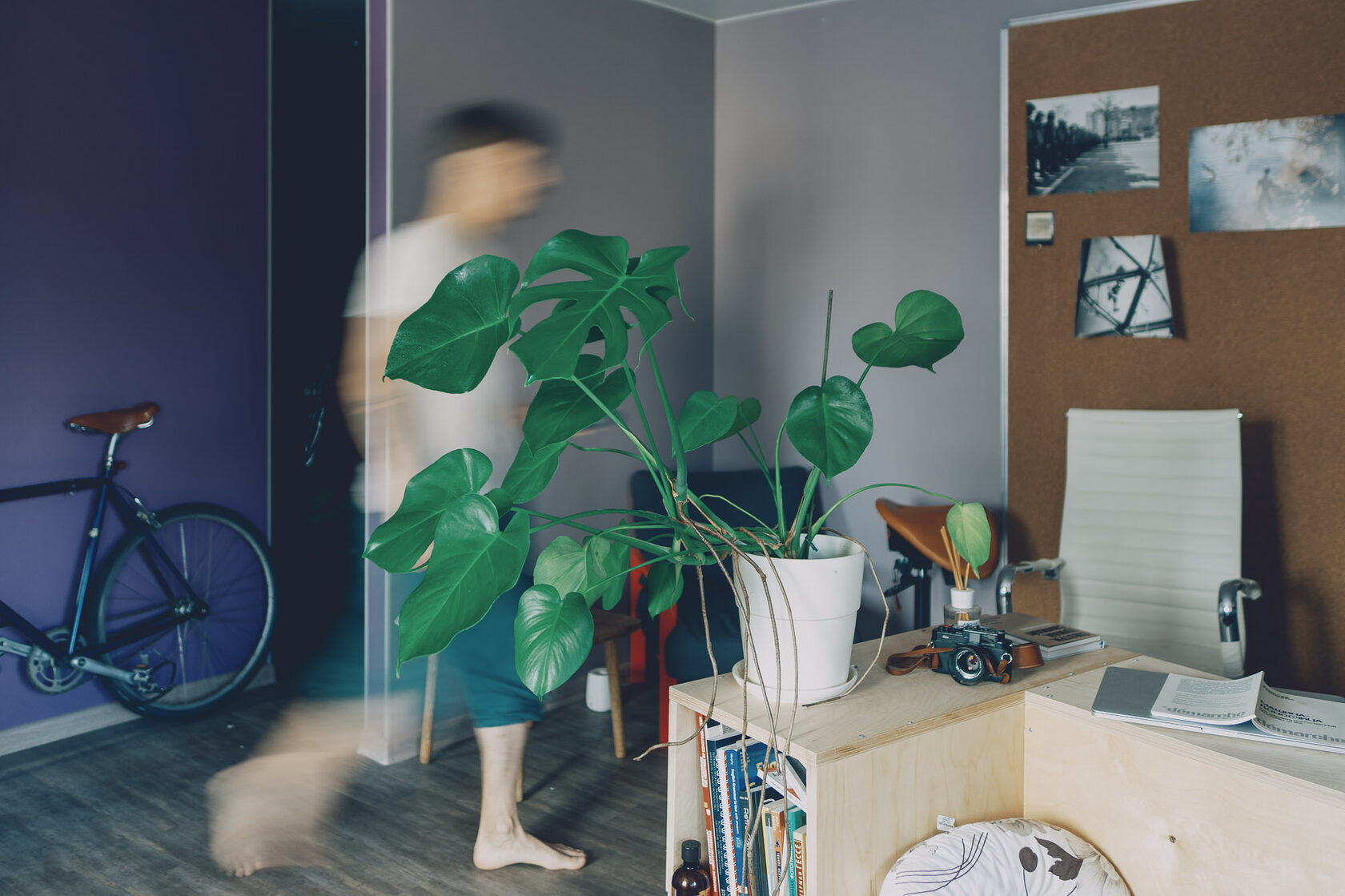 Self-Isolation, image 33