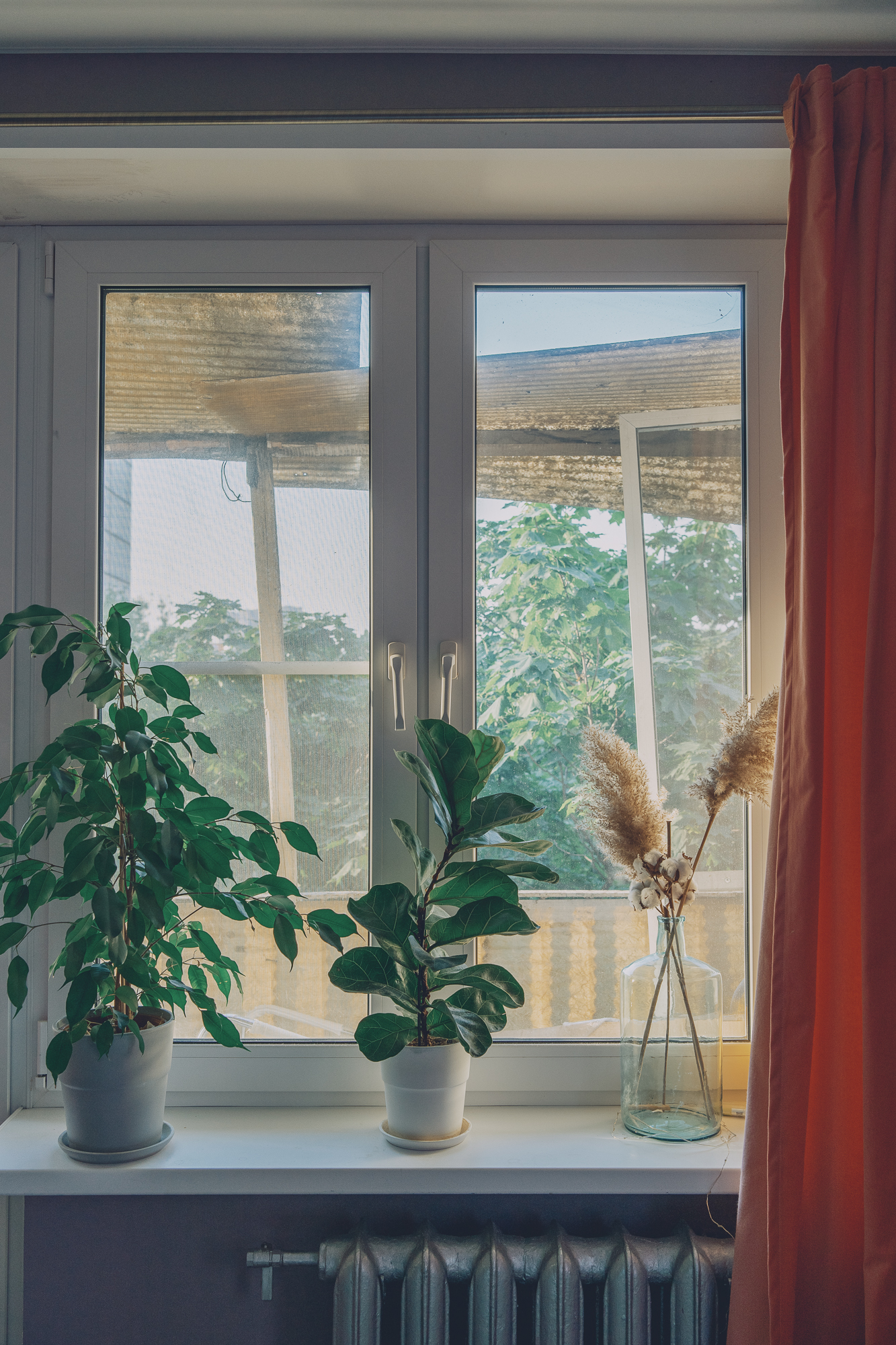 Self-Isolation, image 36